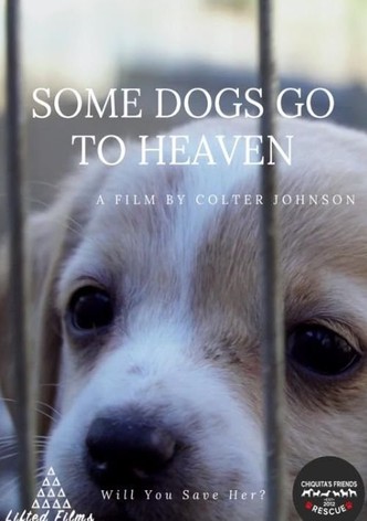 Some Dogs Go to Heaven
