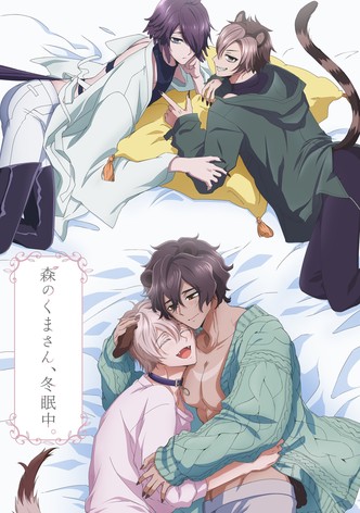 森のくまさん、冬眠中。