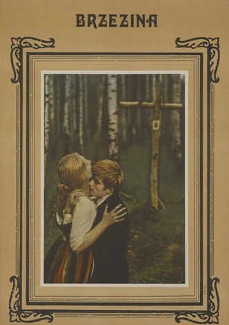 Brzezina