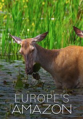 Danube: Europe's Amazon