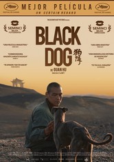Black Dog