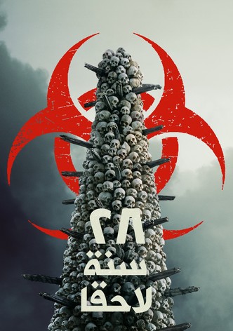 28 عاما لاحقا