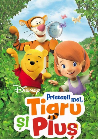 Prietenii mei, Tigru și Pluș