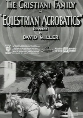 Equestrian Acrobats