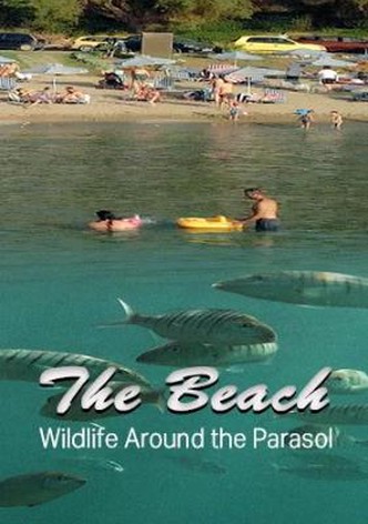 Der Strand: Tierisches aus dem Ferienparadies