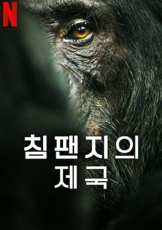 리미티드 시리즈