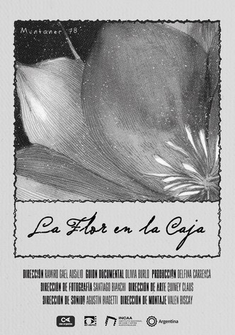 La Flor en la Caja