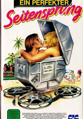 Ein perfekter Seitensprung