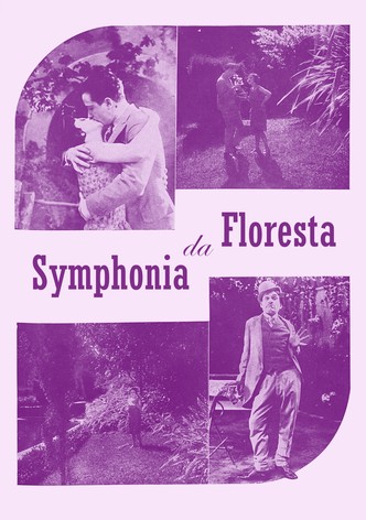 Sinfonia da Floresta