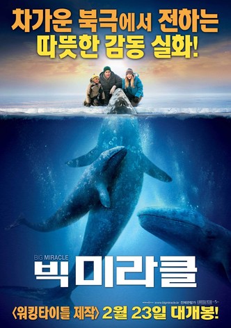 빅 미라클
