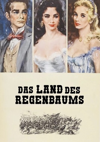 Das Land des Regenbaums