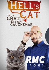 Hell's cat : Mon chat est un cauchemar - Saison 8