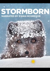 Stormborn