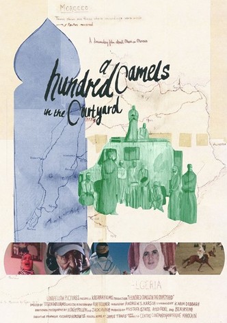 A Hundred Camels in the Courtyard
