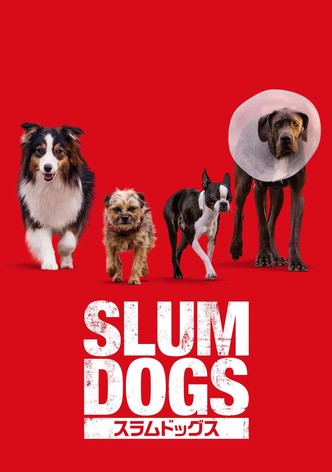 スラムドッグス