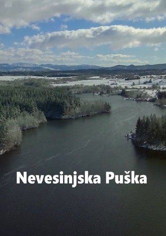 The Herzegovina Uprising