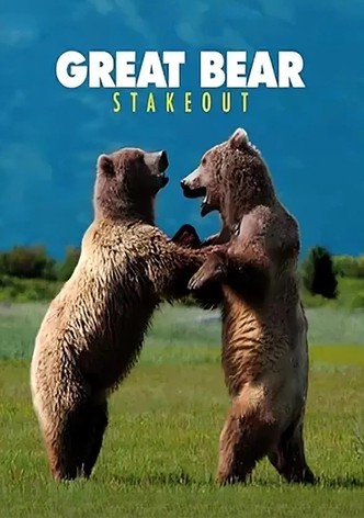 Great Bear Stakeout