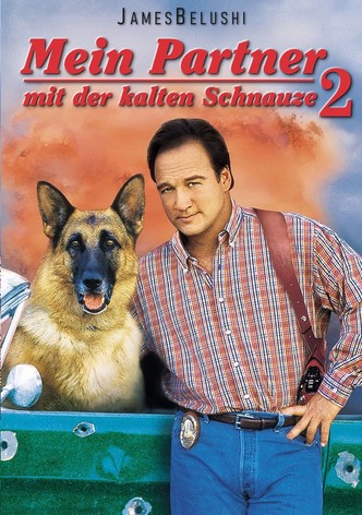 Mein Partner mit der kalten Schnauze 2