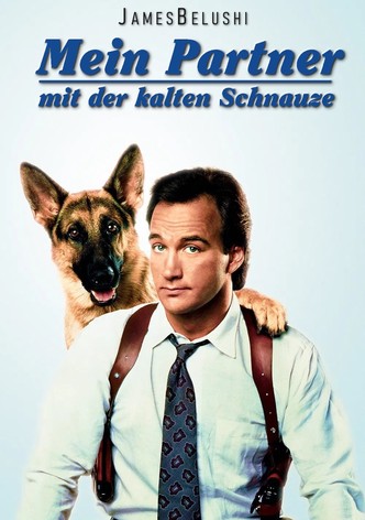 Mein Partner mit der kalten Schnauze