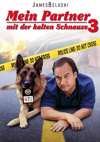 Mein Partner mit der kalten Schnauze 3