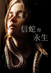 追随者