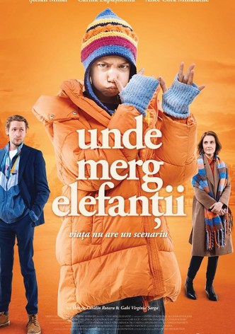 Unde merg elefanții