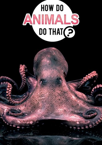 Jak to robią zwierzęta?