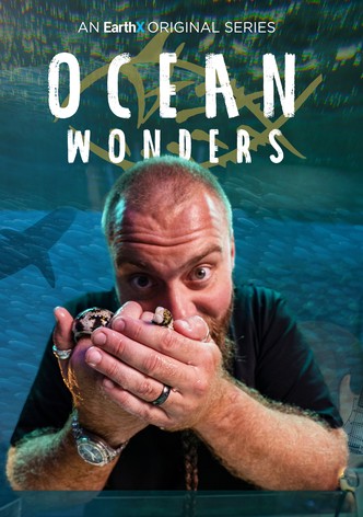 Ocean Wonders