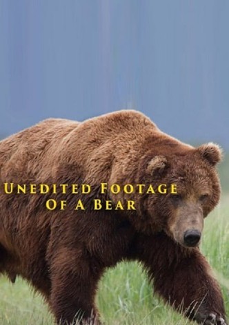 Unedited Footage of a Bear