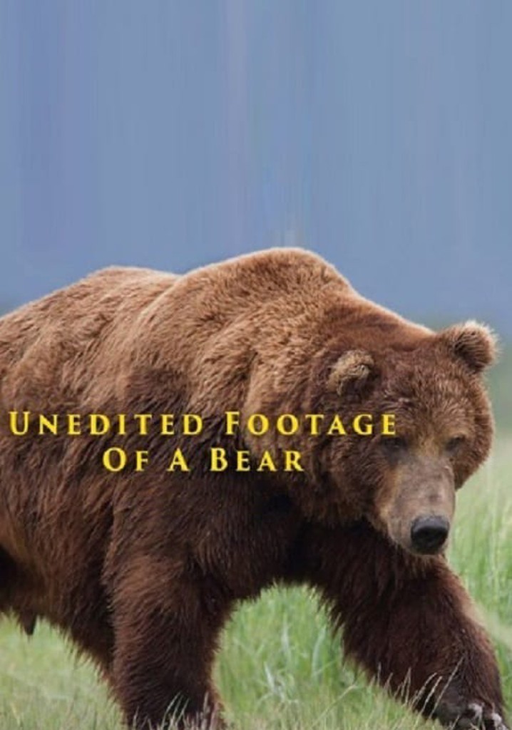 Unedited Footage of a Bear streaming: watch online