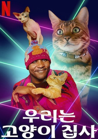 리미티드 시리즈