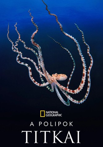 A polipok titkai