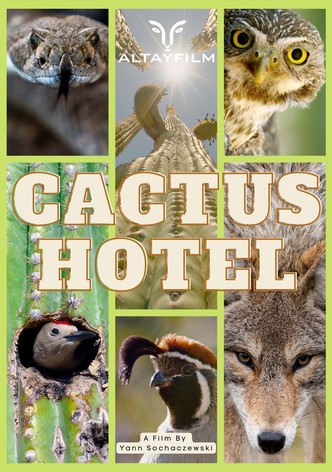 Cactus Hotel