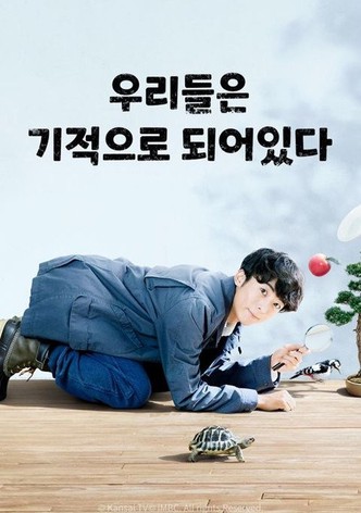 우리들은 기적으로 되어 있다