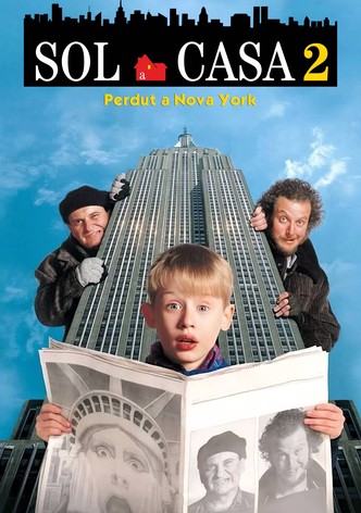 Sol a casa 2: Perdut a Nova York