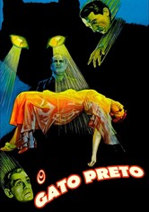 O Gato Preto
