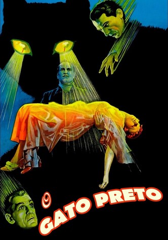 O Gato Preto