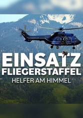 Einsatz Fliegerstaffel - Helfer am Himmel