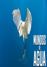 Mundos de agua