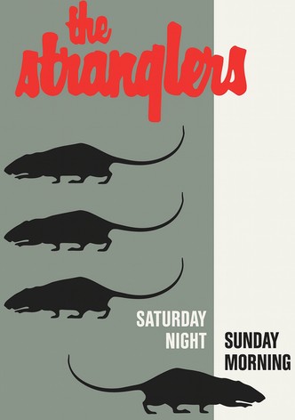 The Stranglers: Live at Alexandra Palace