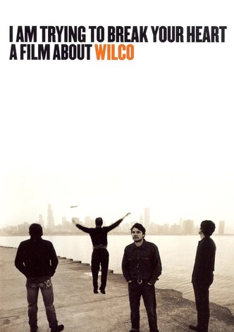 I Am Trying to Break Your Heart: A Film About Wilco