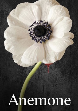 Anemone