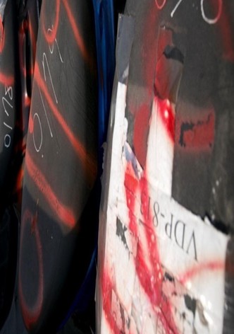 Hail the Bodhisattva of Collected Junk