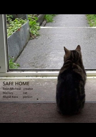 Safe Home