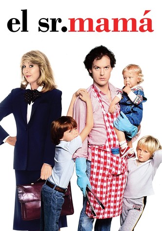 Las locas peripecias de un Sr. mamá