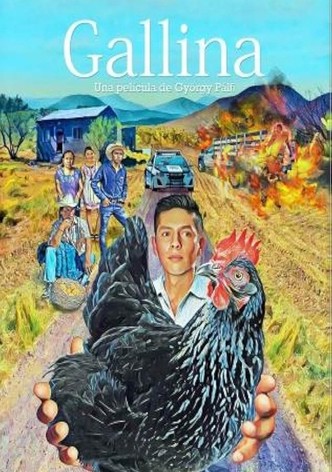 Hen
