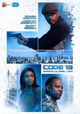 Code 13