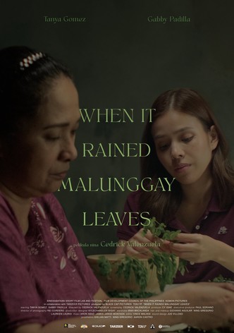 When It Rained Malunggay Leaves