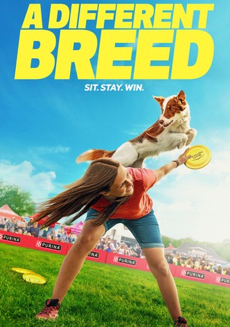 A Different Breed - Season 1