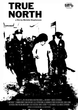 True North